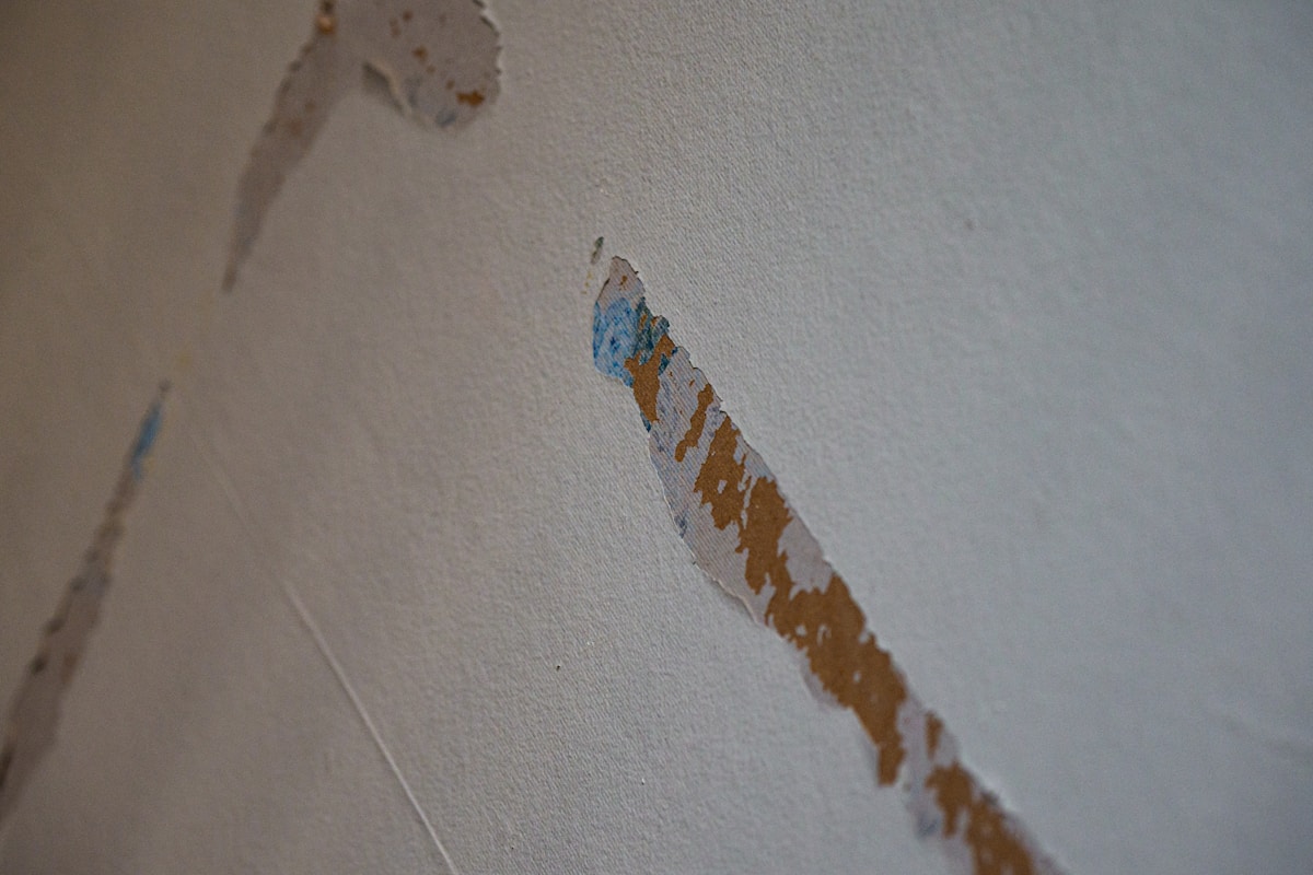 Flood Cleanup service in San Leandro, CA